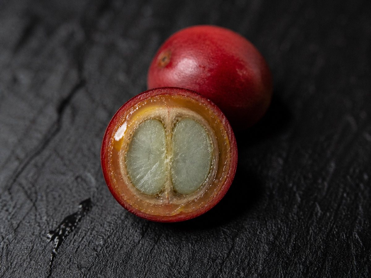 A ripe coffee cherry cut in half, cut face up, showing red skin, amber pulp, a pale parchment husk and two green seeds meeting along a centre crease. A whole cherry rests behind it.